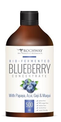 Probiotic Punch. Organic. Blueberry, Papaya, Goji & Magui. 500ml. - Click Image to Close