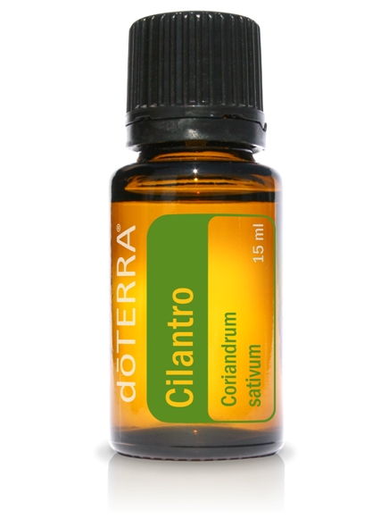 Cilantro Essential Oil. 15ml.
