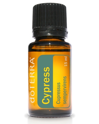 Cypress Essential Oil. 15ml.