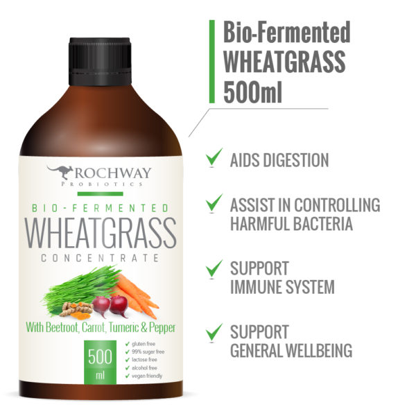Probiotic Punch. Organic. Wheatgrass, Beetroot & Carrot. 500ml.