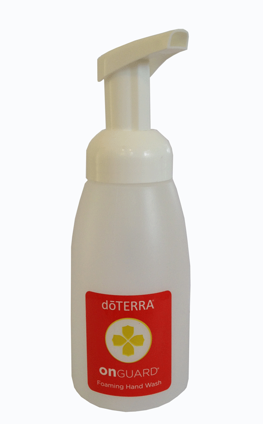 On Guard Foaming Hand Wash Dispenser (Empty). Holds 236ml.