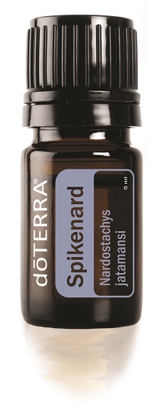 Spikenard Essential Oil. 5ml. - Click Image to Close